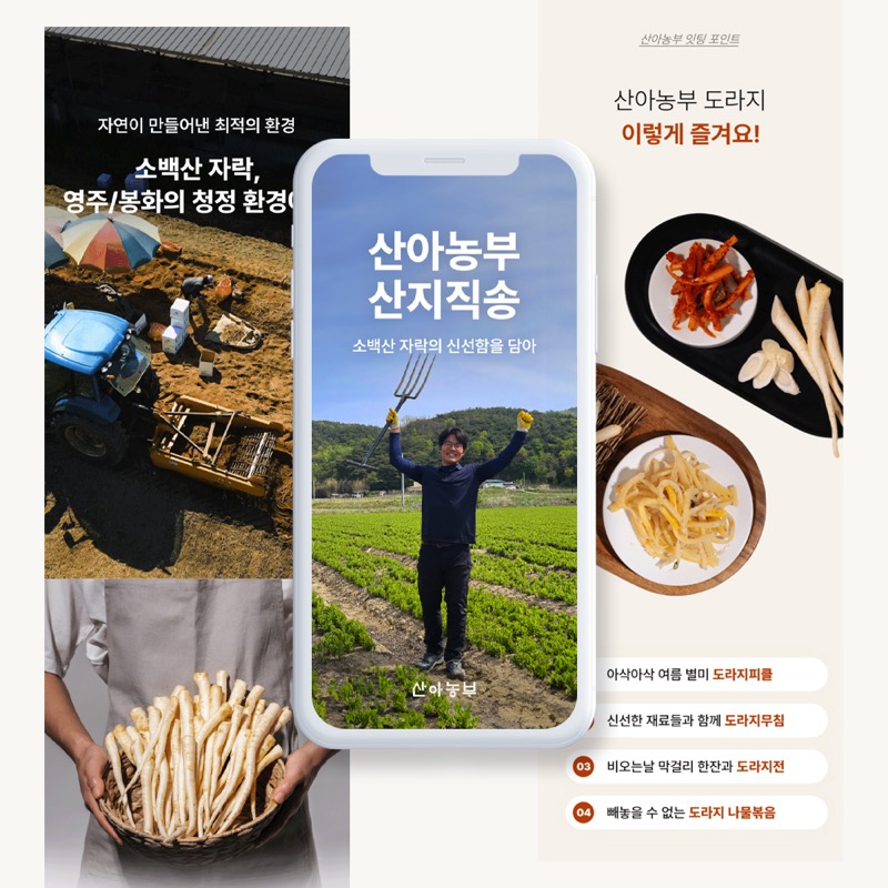 3년근 도라지