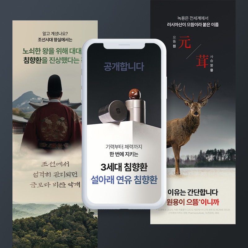 연유 침향환